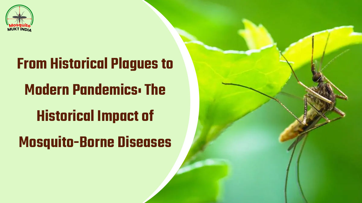 From Historical Plagues to Modern Pandemics: The Historical Impact of Mosquito-Borne Diseases